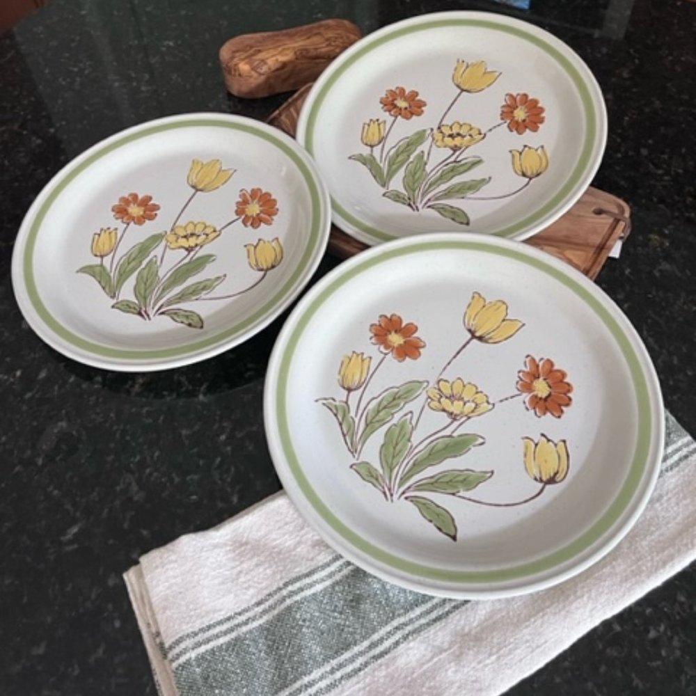 Country Casual Sunnyvale Hand Painted Stoneware, set of three